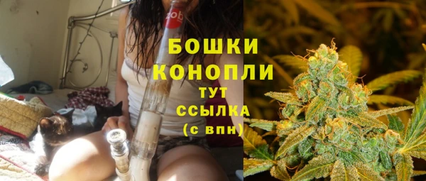 гашик Пересвет