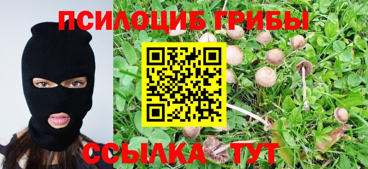 Галлюциногенные грибы MAGIC MUSHROOMS Прокопьевск